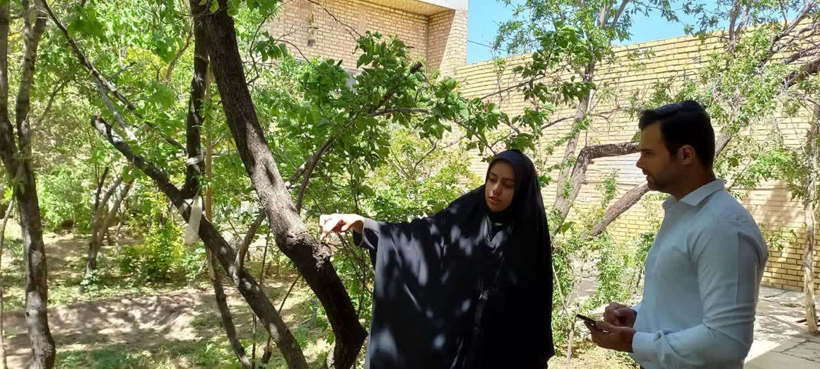 باغ بلان 